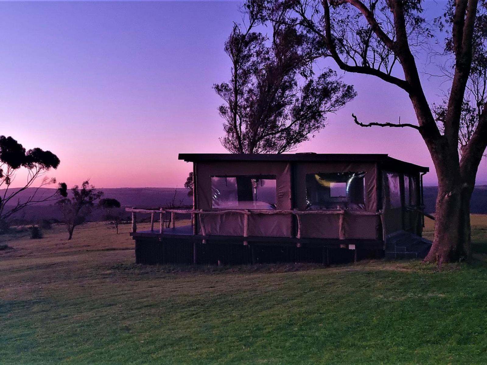 Umbono Private Game Lodge Alexandria  Esterno foto